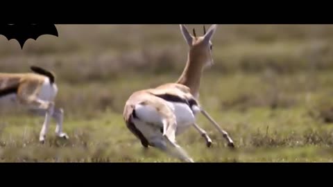 Are you in a hurry