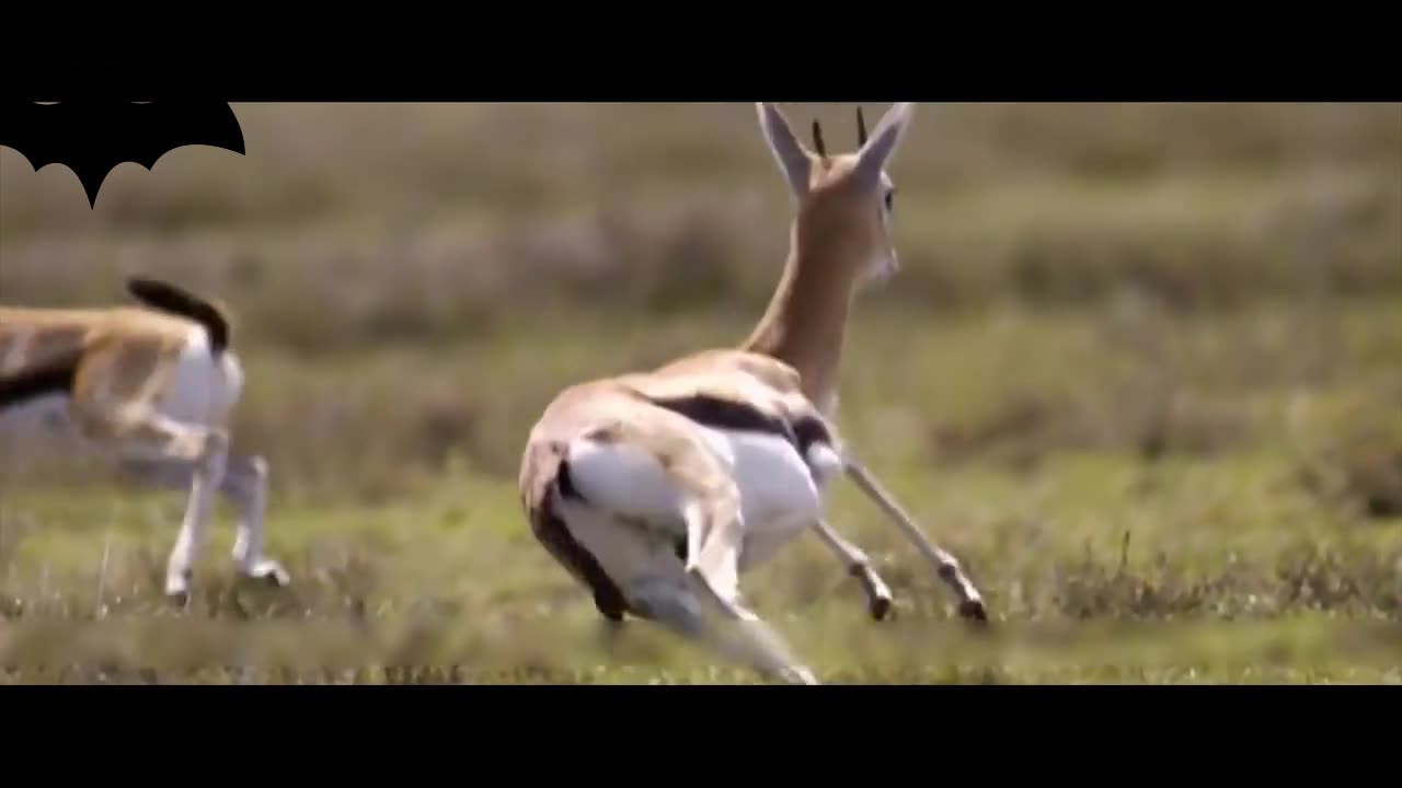 Are you in a hurry