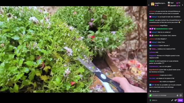 2022-11-28 (1bis.3) - Chrysanthèmes sous la pluie - Twitch Decheterie (version avec chat)