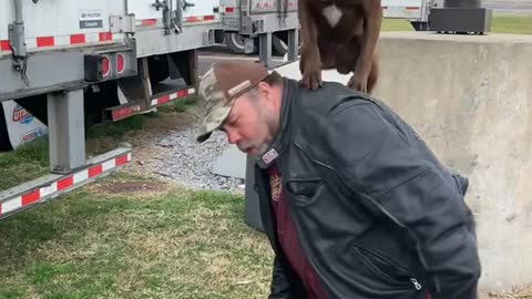 Truck Drivers Dog Jumps and Stands on Top of His Shoulders