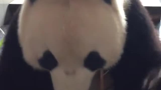 I heard that everyone likes the way I eat bamboo shoots~ Then enjoy it!