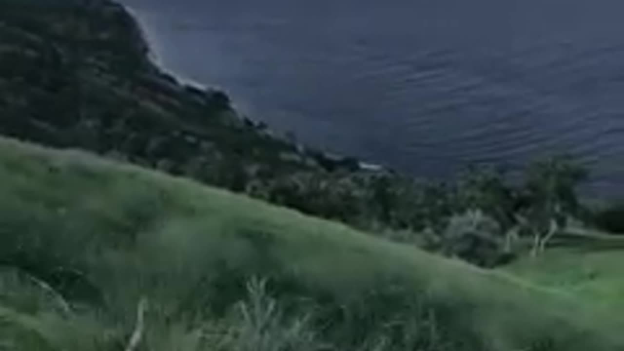 Enjoy the scenery