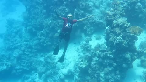 Underwater Through the Eyes of a Free Diver