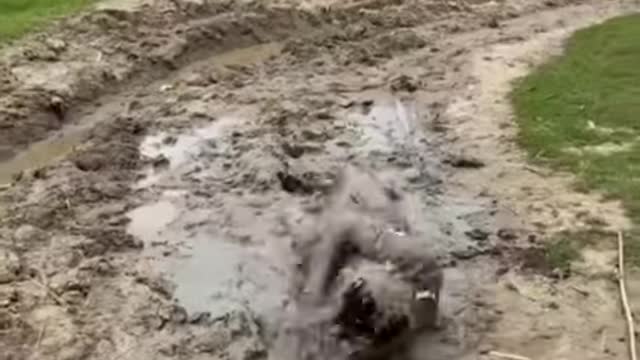 Comedy video -- Funny video -- Comedy short video #Shorts #Comedy #Funny