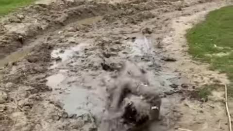 Comedy video -- Funny video -- Comedy short video #Shorts #Comedy #Funny