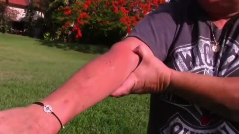 How To Make Dog Become Fully Aggressive With Few Simple Tips