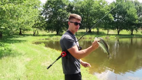 The Best Bass Fishing Bait and Three Different Ways to Fish It