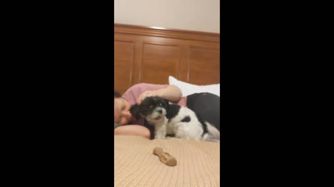 Parker Receives a Reward for Better Behavior