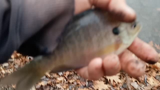 December fishing in southeast Pennsylvania