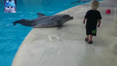 Little boy playing with dolphins in happy mode