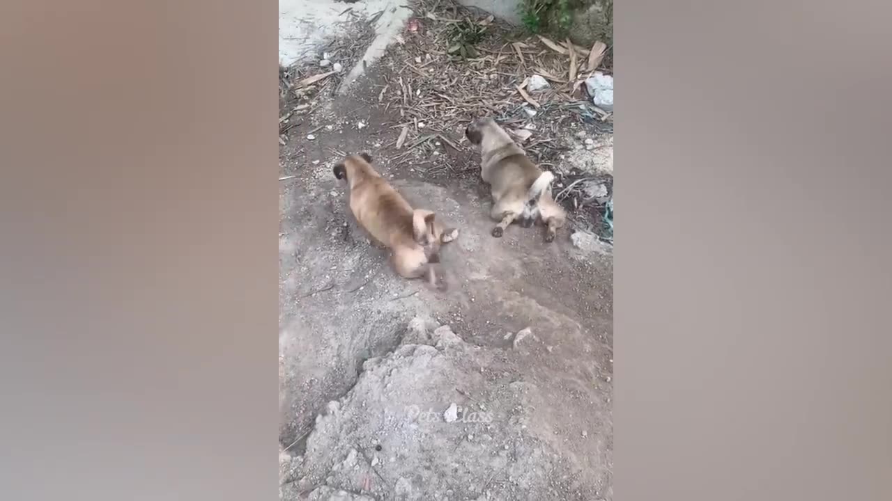 https://youtu.be/nD6GeHcgCkU