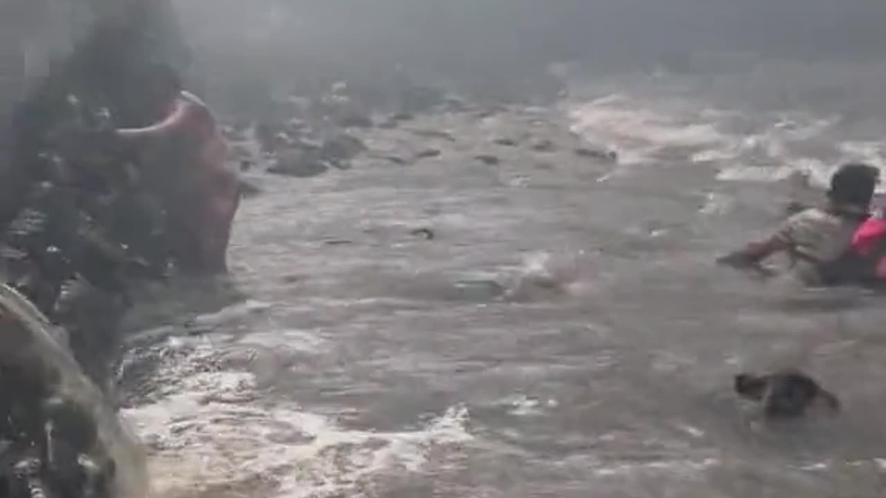 Maui Fires - Terrifying - Sparks Over the Ocean