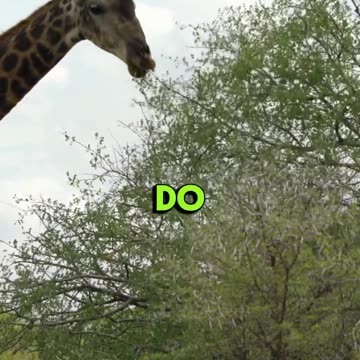 Epic food rant from Bill Burr