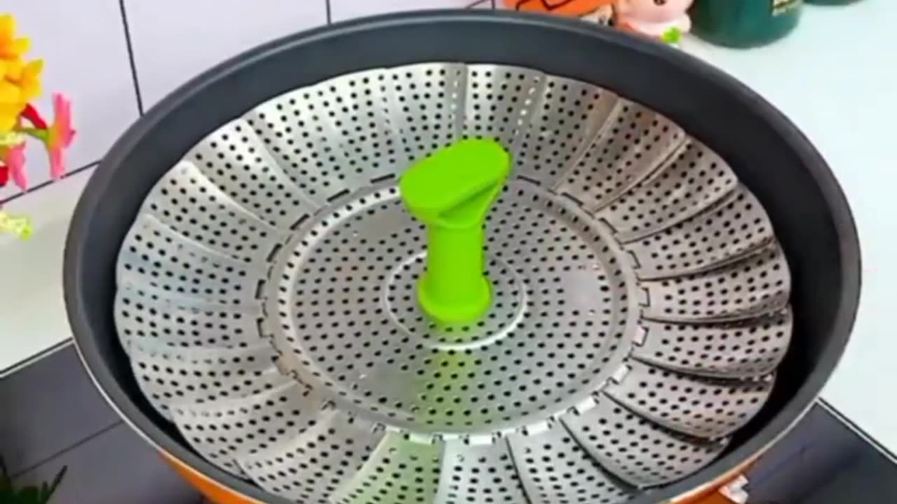 Amazingfact video