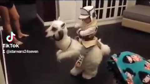 Starwars costume