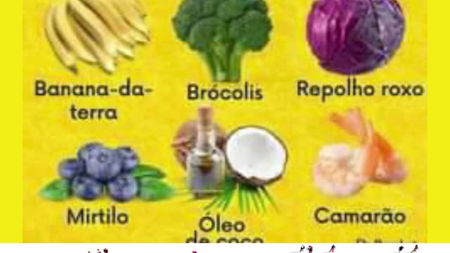 OS MELHORES ALIMENTOS