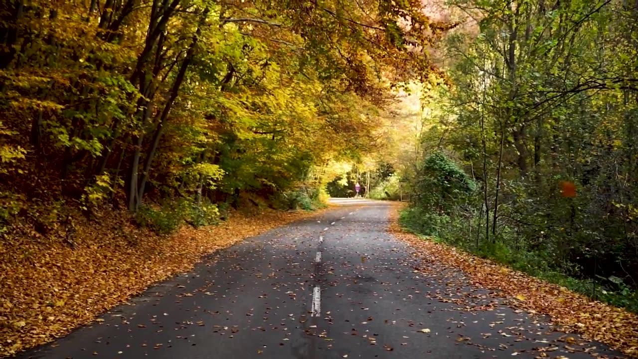 Real Road in Nature for people