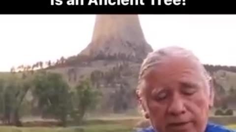 "Devils Tower"