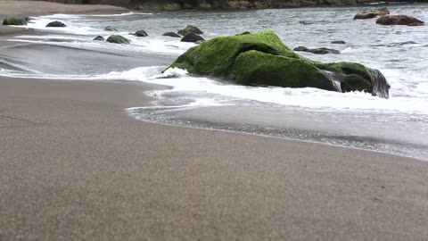 Beautiful Beach | Sea Waves | Creative Commons Videos |