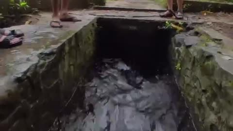 Getting Wild in China