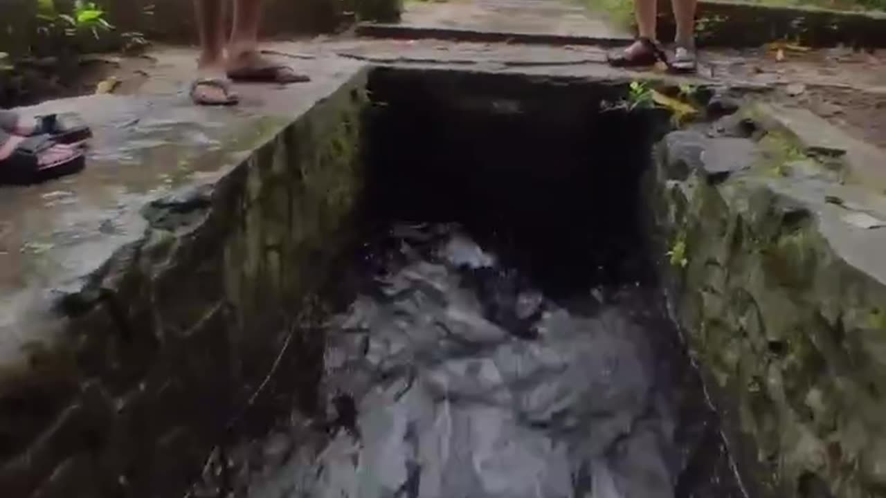 Getting Wild in China