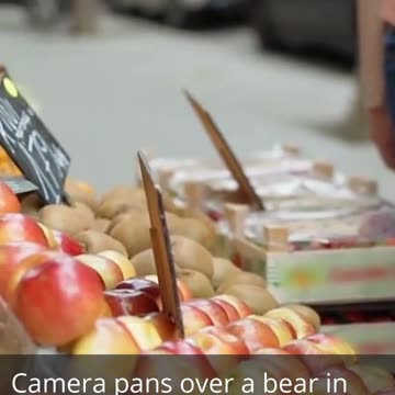 Surviving the Bear Thriving in Bear Markets