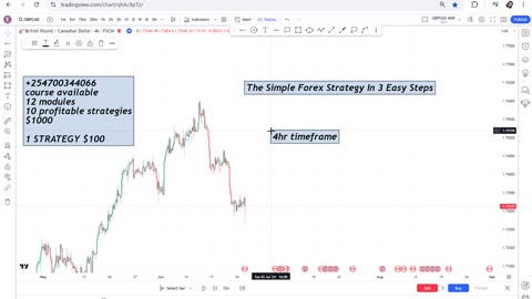 "The Ultimate Forex Strategy: Earn $100 Daily in 3 Simple Steps"