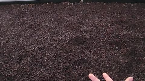 POINT OF VIEW: YOU'RE IN A FIGHT