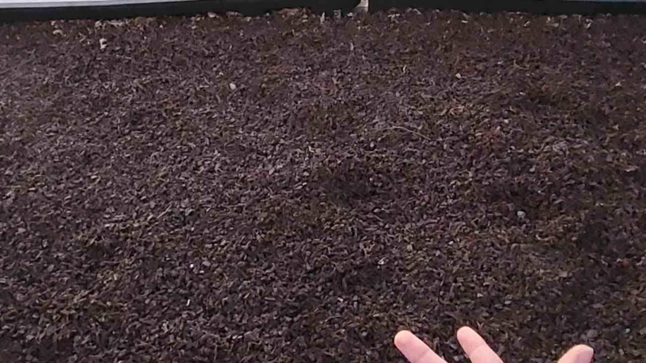 POINT OF VIEW: YOU'RE IN A FIGHT