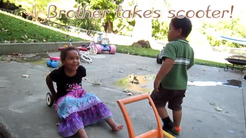 A Squabble On The Patio