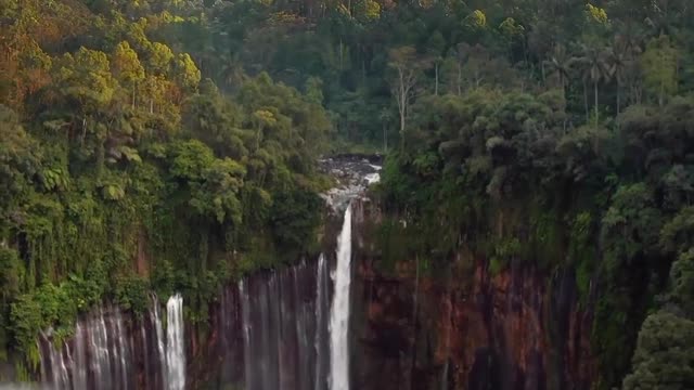 Amazing Nature Video