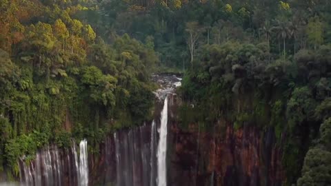 Amazing Nature Video