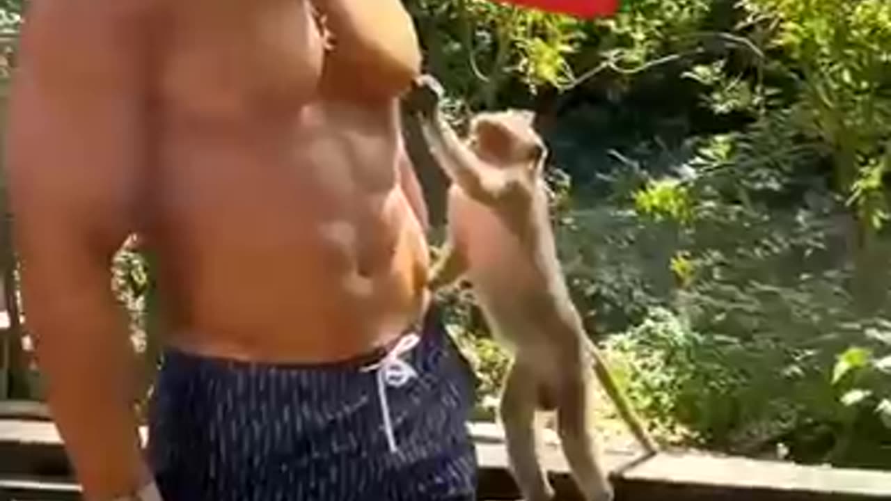 Can i toch your boobs