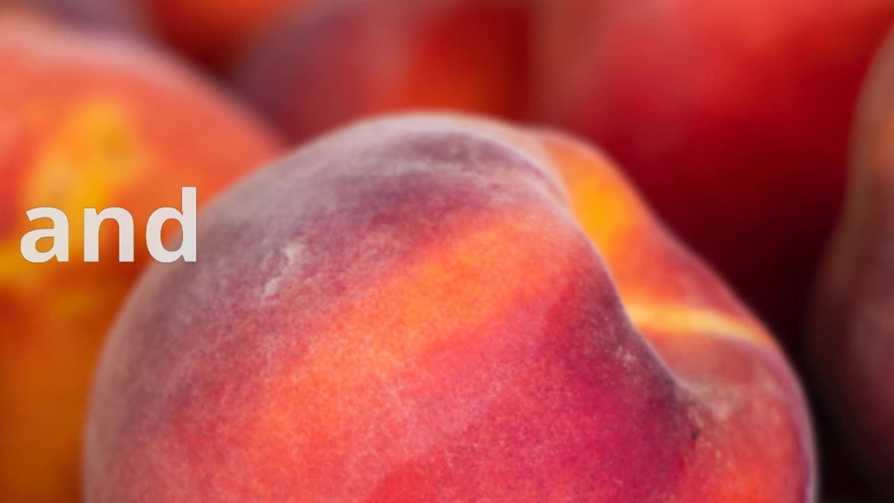 Surprising Apricot Facts! 🌟 The Ancient Fruit That Traveled the World 🍑