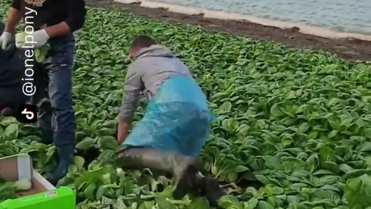 The end 😂😂😂 SO FUNNY!