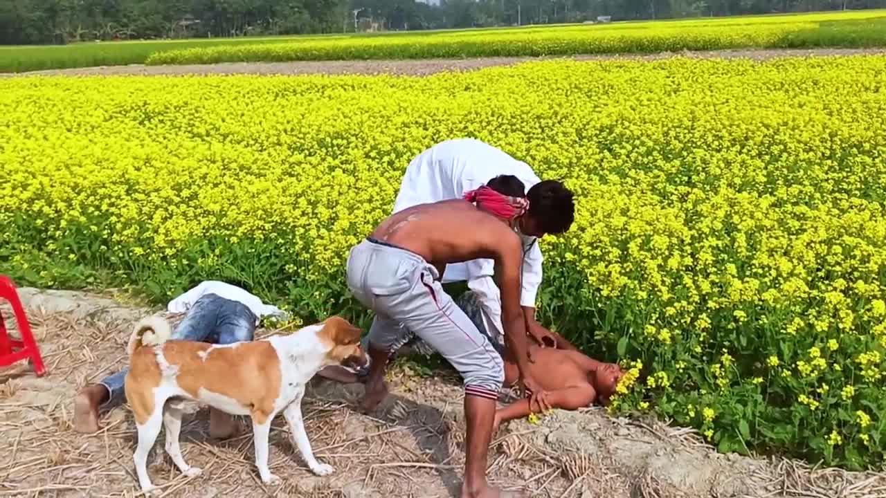 Whatsapp Funny Videos_Verry Injection Comedy Video Stupid Boys_New Doctor Funny Video