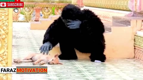 New Gorilla Attack prank Video, Gorilla Prank on Public Funny