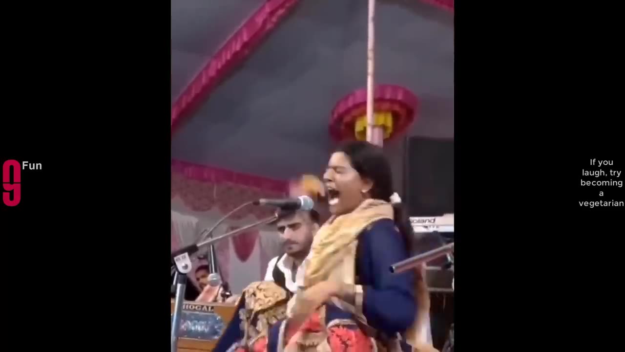 Compilation of funny videos