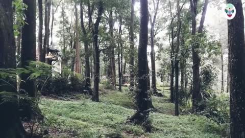 Relaxing Music | Sleeping, Meditation, Stress Relief | [1432] ⭐️