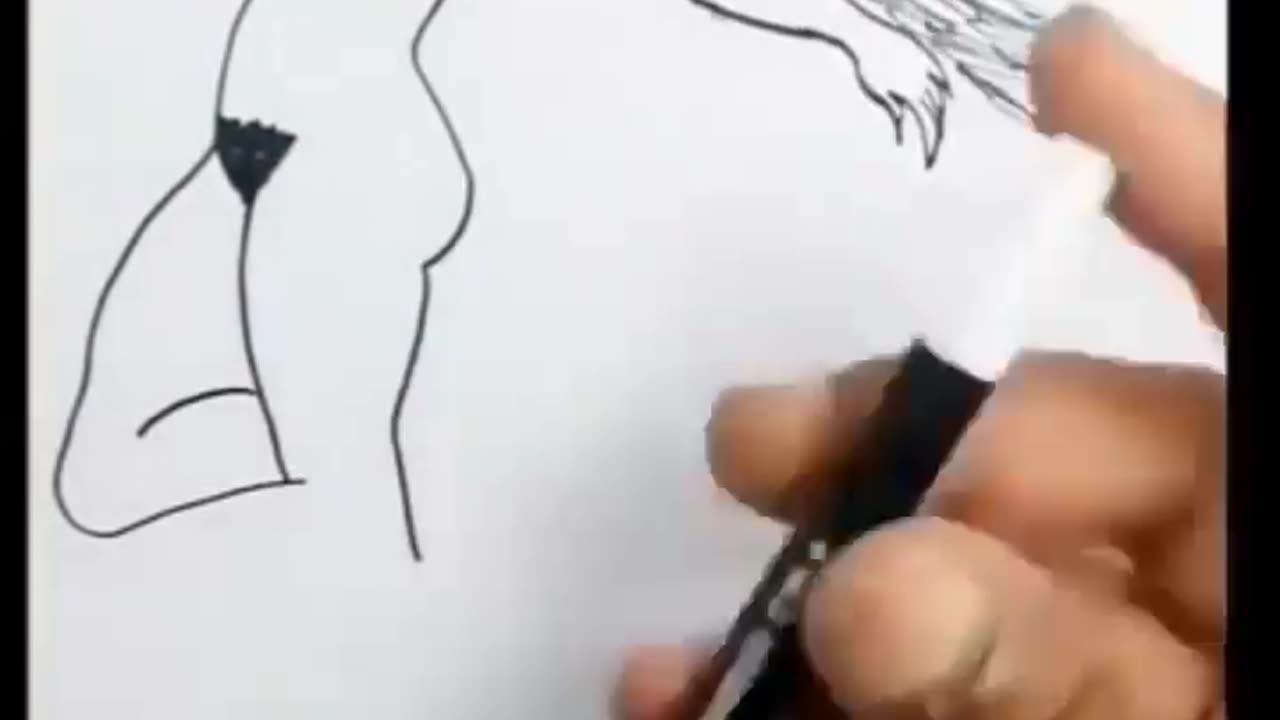 The best live