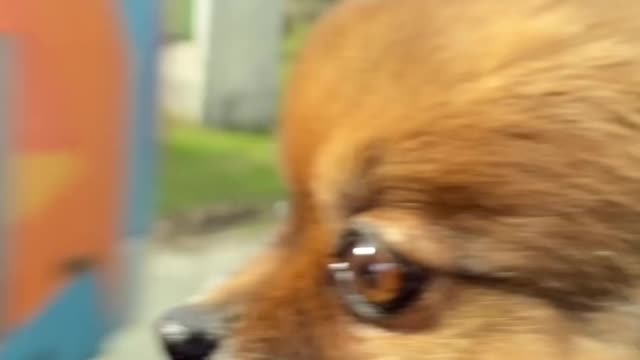 Welcome To Viana do Castelo, Portugal