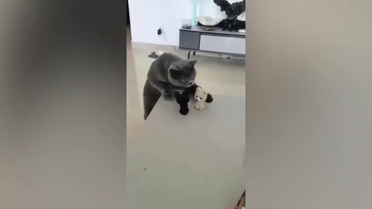 Funny animal reactions🤣🤣🤣