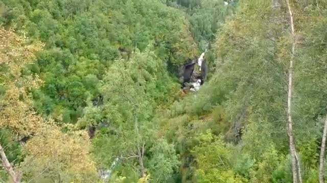 Relaxing-look-piano-nature-sound
