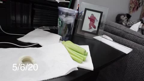 KETO DIET RESULTS WEEK 2 Weight Loss Update Progress Pics 1080p_1080p