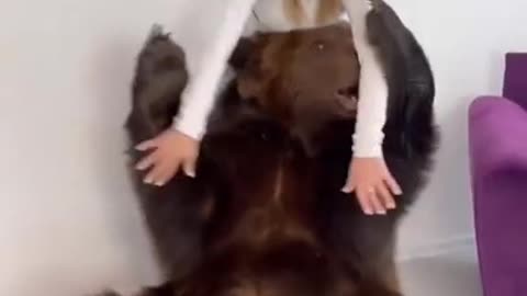 Лера Изумруд brought a 200-килограмм bear to her apartment to show it to a one-year-old child.