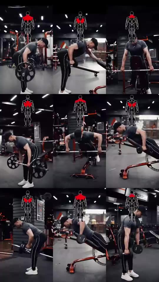 Back Workout Gym Exercises