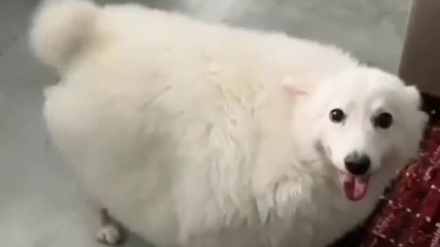 that's a big unit