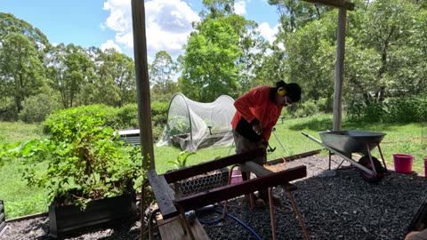 Kenji's Kitchen, DIY grease trap and outdoor grey water system.