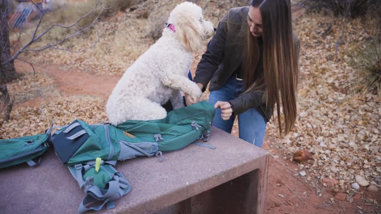 How to train your dog secretly & come up with an amazing talent?
