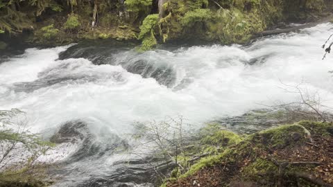 Exploring the McKenzie River Trail – Sahalie Falls & Koosah Falls Loop – Central Oregon – 4K